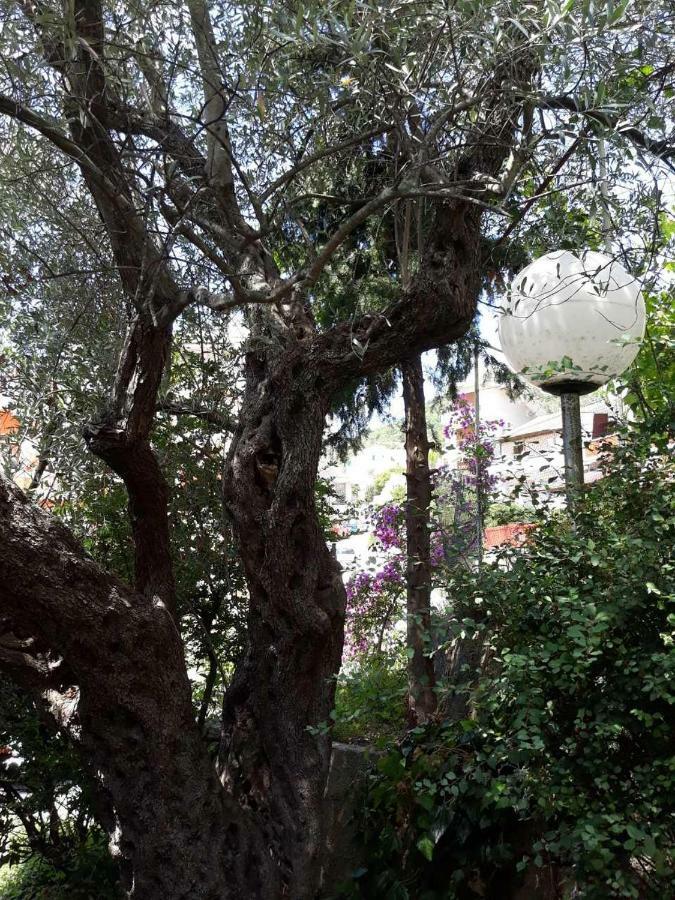 شقة Seahaven Petrovac المظهر الخارجي الصورة