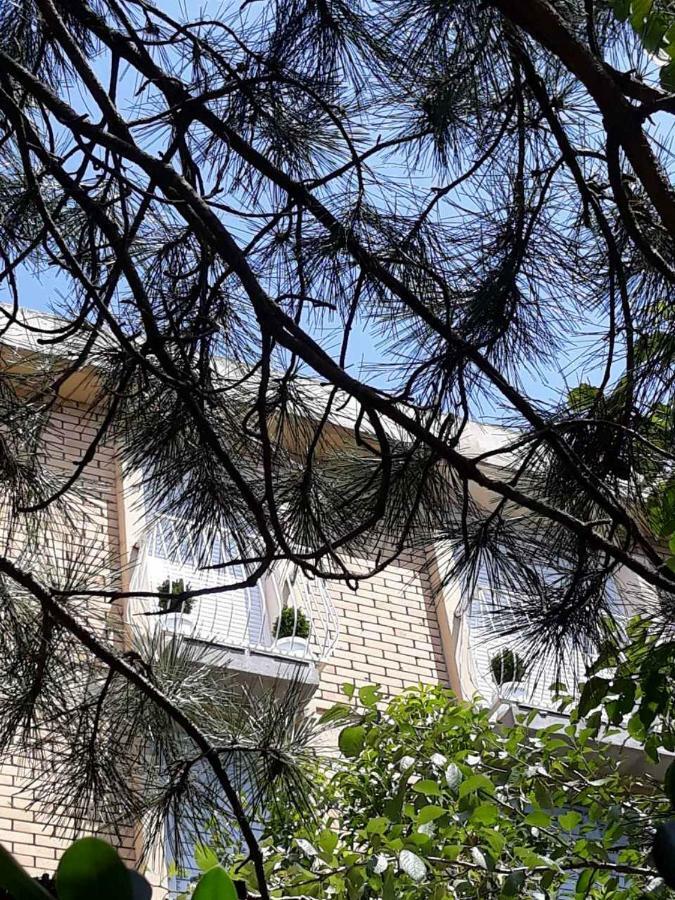 شقة Seahaven Petrovac المظهر الخارجي الصورة